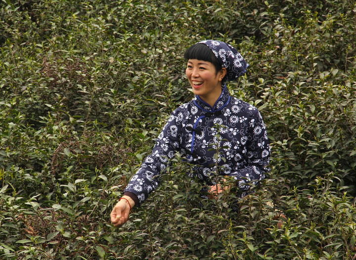 牡丹真人秀 第一季